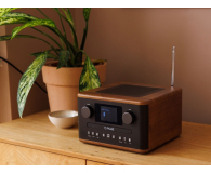 PURE Classic C-D4 Coffee Brown/Walnut EU/UK - 1538312 - zdjęcie 5